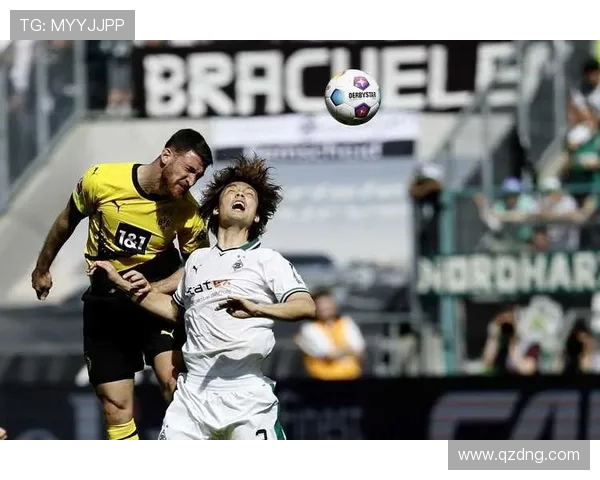 韩国德甲球队：韩国球员与球队在德甲的表现