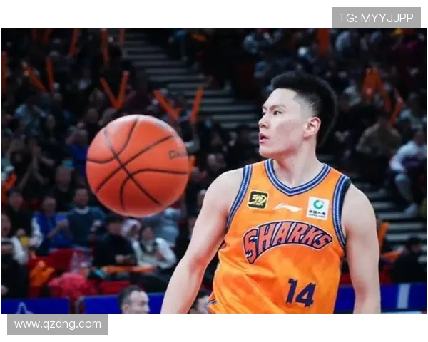 上海篮球队在CBA中的排名及赛季表现 上海篮球队在CBA中的排名及赛季表现